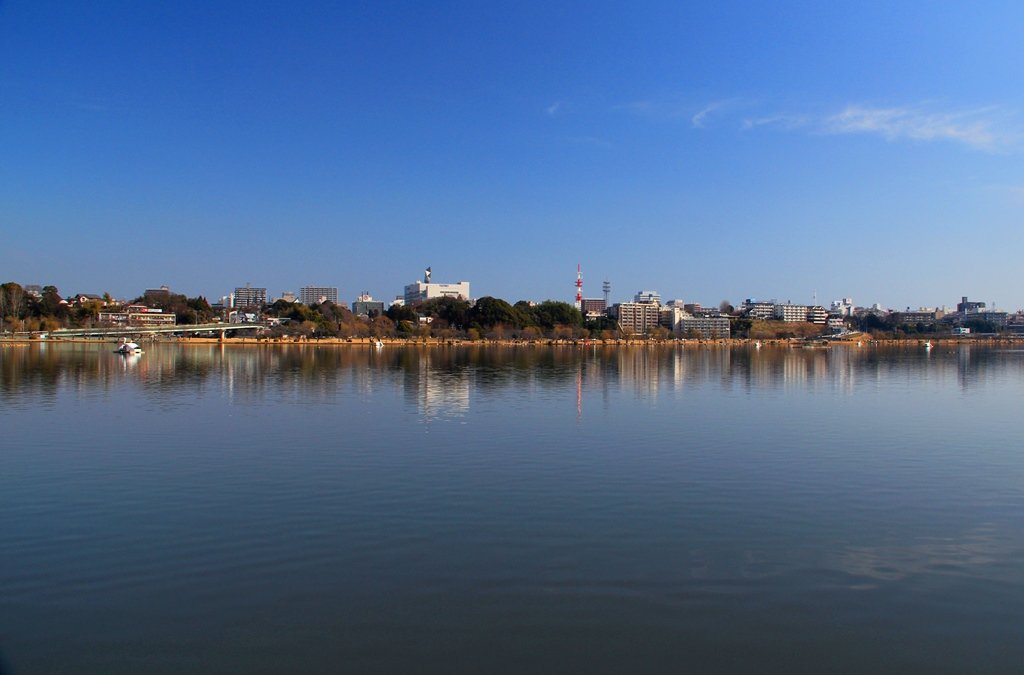 🖼️ 이바라키현 근대미술관 (이바라키켄킨다이비주쓰칸) 이미지 8